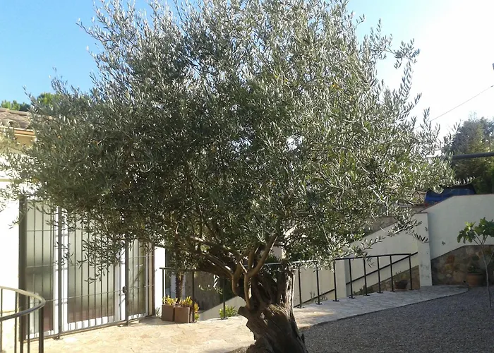Villapina1906 Calonge (Catalonia)